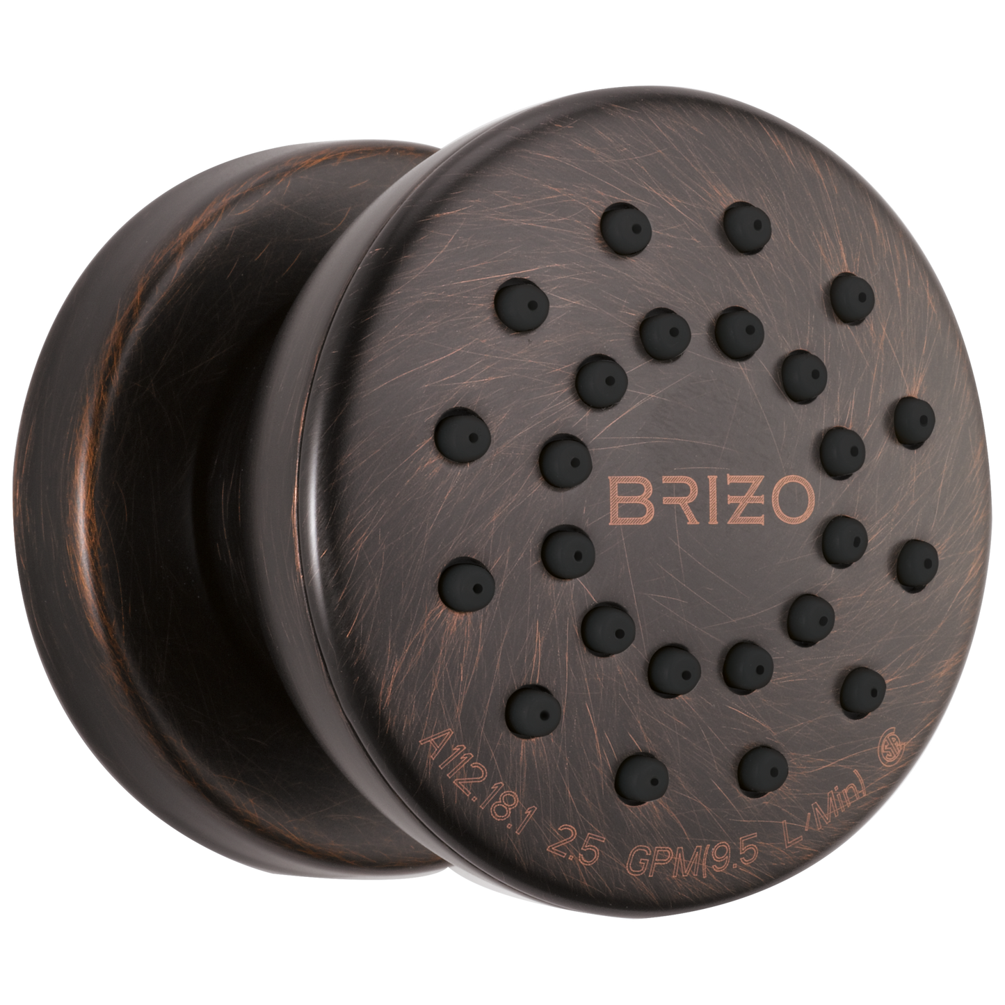 Brizo Universal Showering: Touch-Clean Round Body Spray