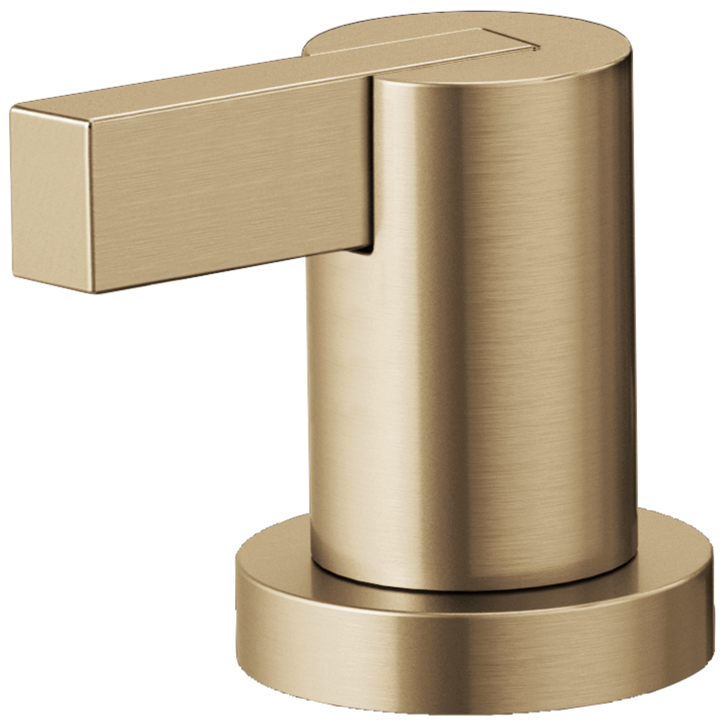 Brizo Litze: Roman Tub Extended Lever Handle Kit