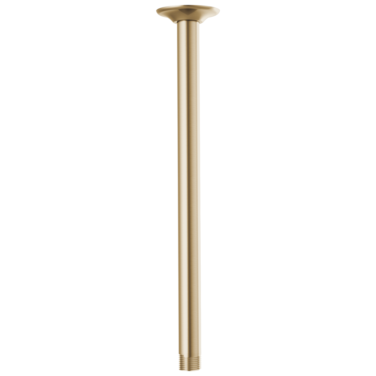 Brizo Brizo Brizo Universal Showering: 14" Ceiling Mount Shower Arm And Round Flange