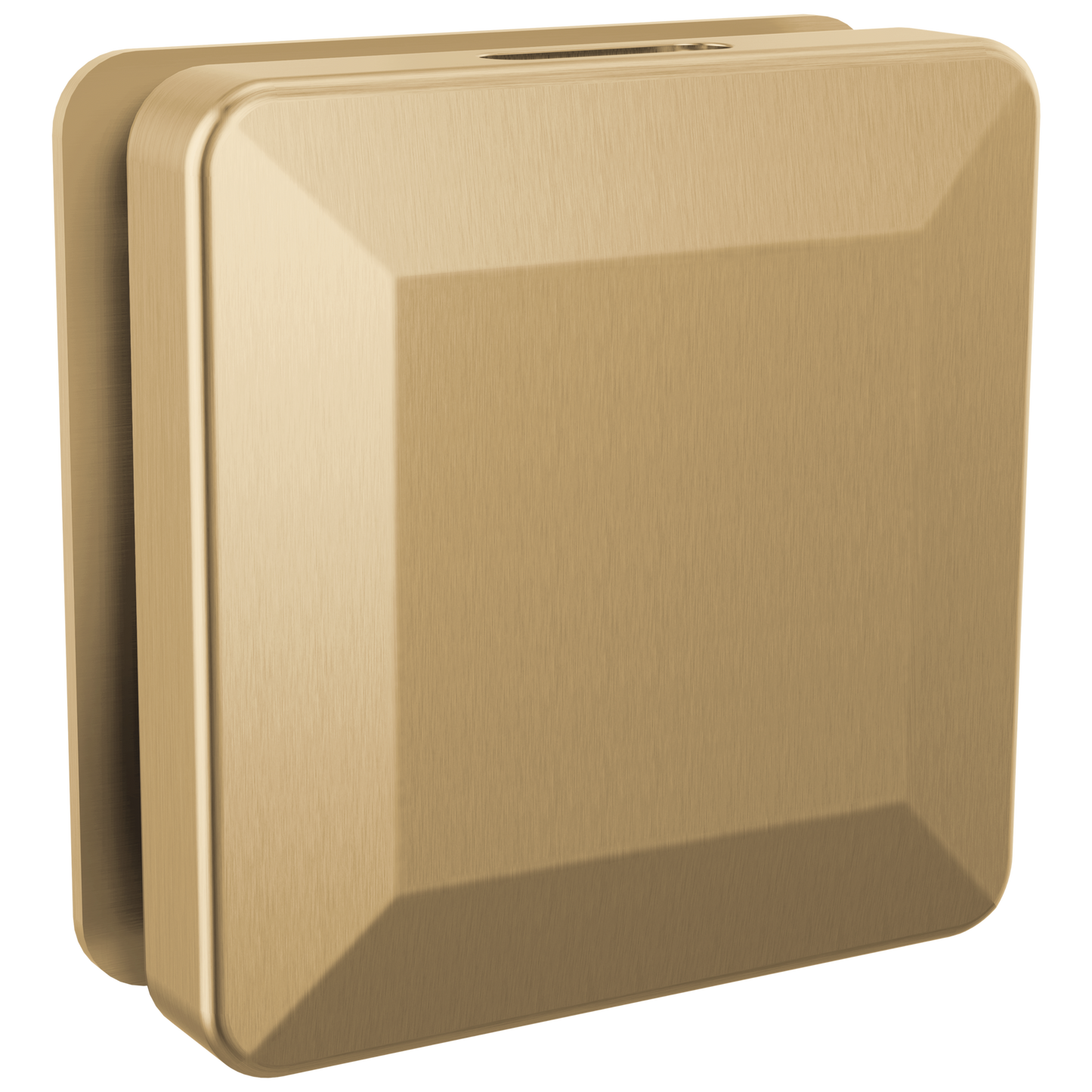 Delta Universal Showering Components: Square Steam Head