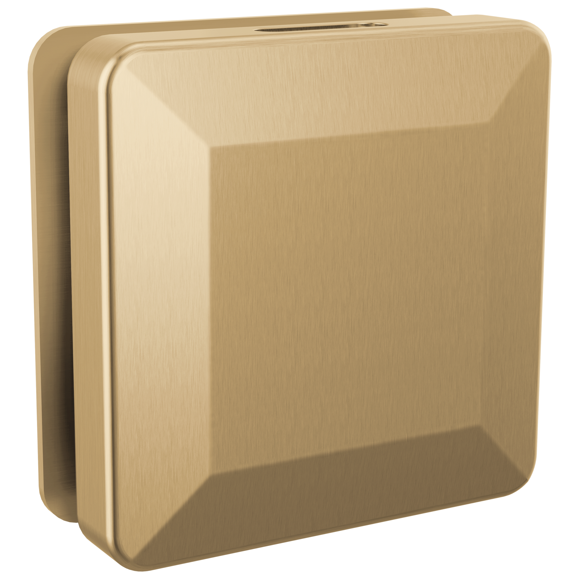 Delta Universal Showering Components: Square Steam Head