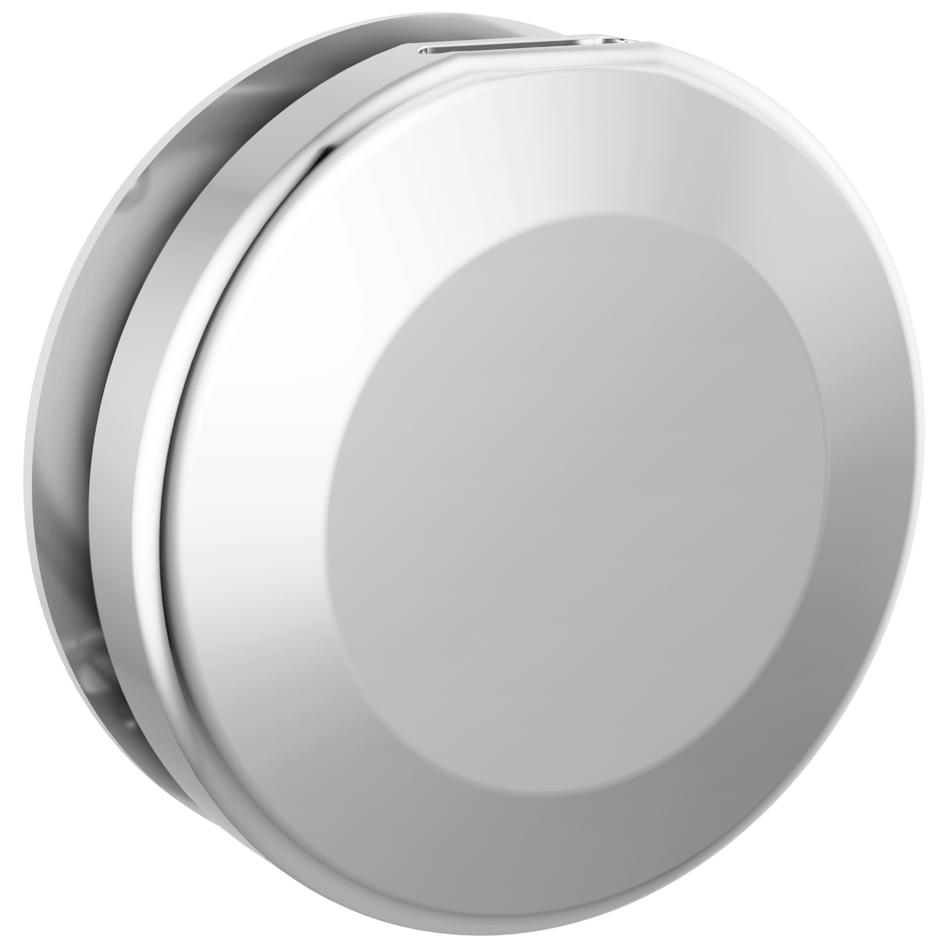 Delta Universal Showering Components: Round Steam Head