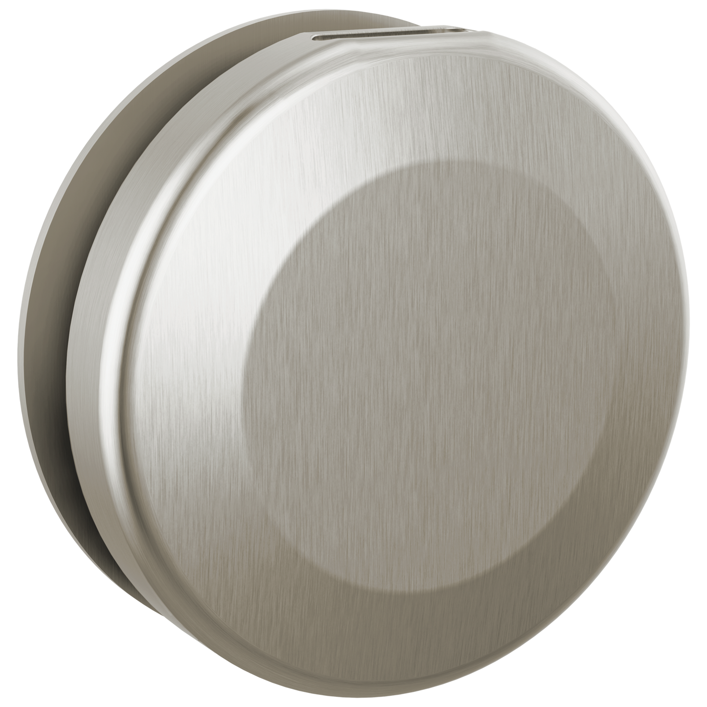 Delta Universal Showering Components: Round Steam Head