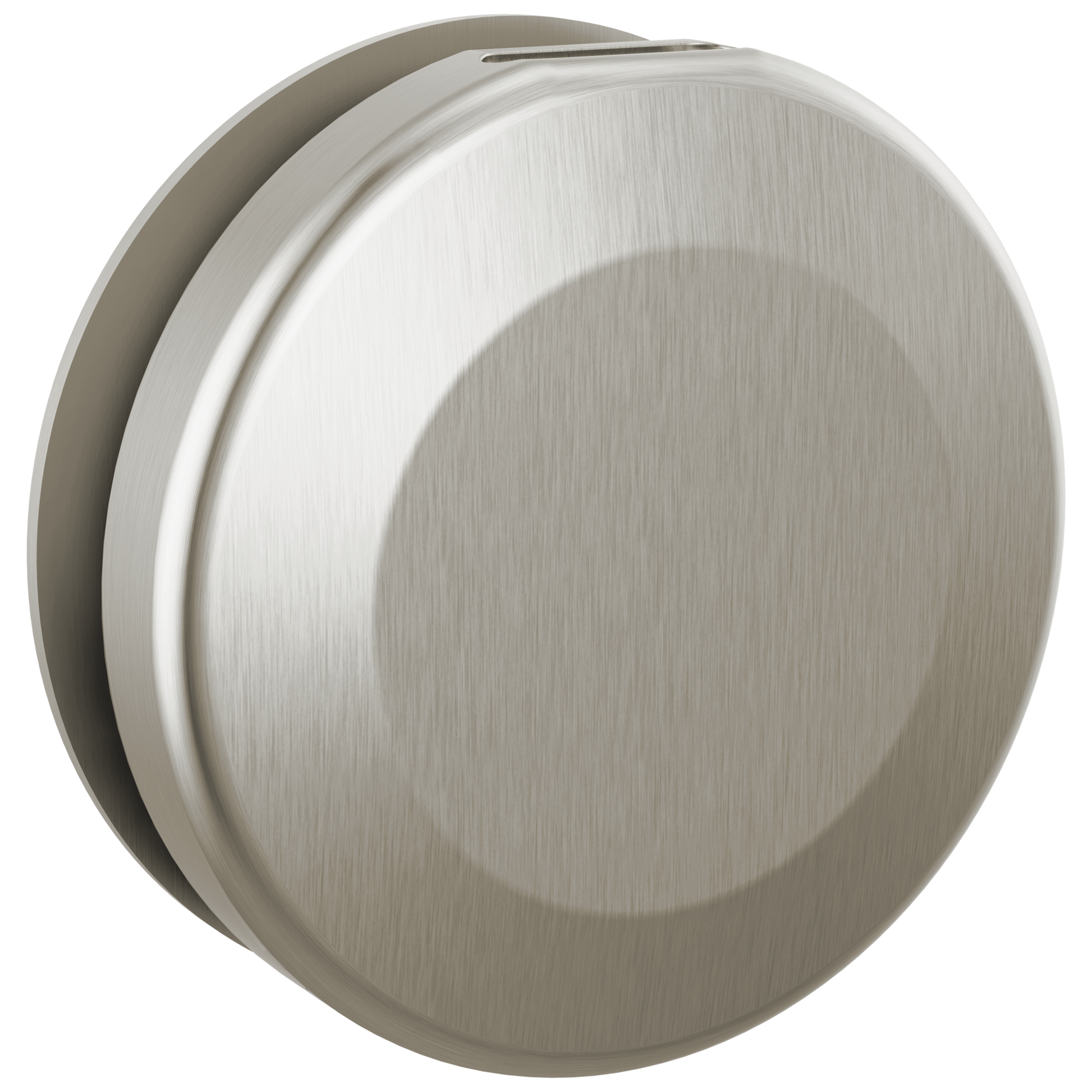 Delta Universal Showering Components: Round Steam Head