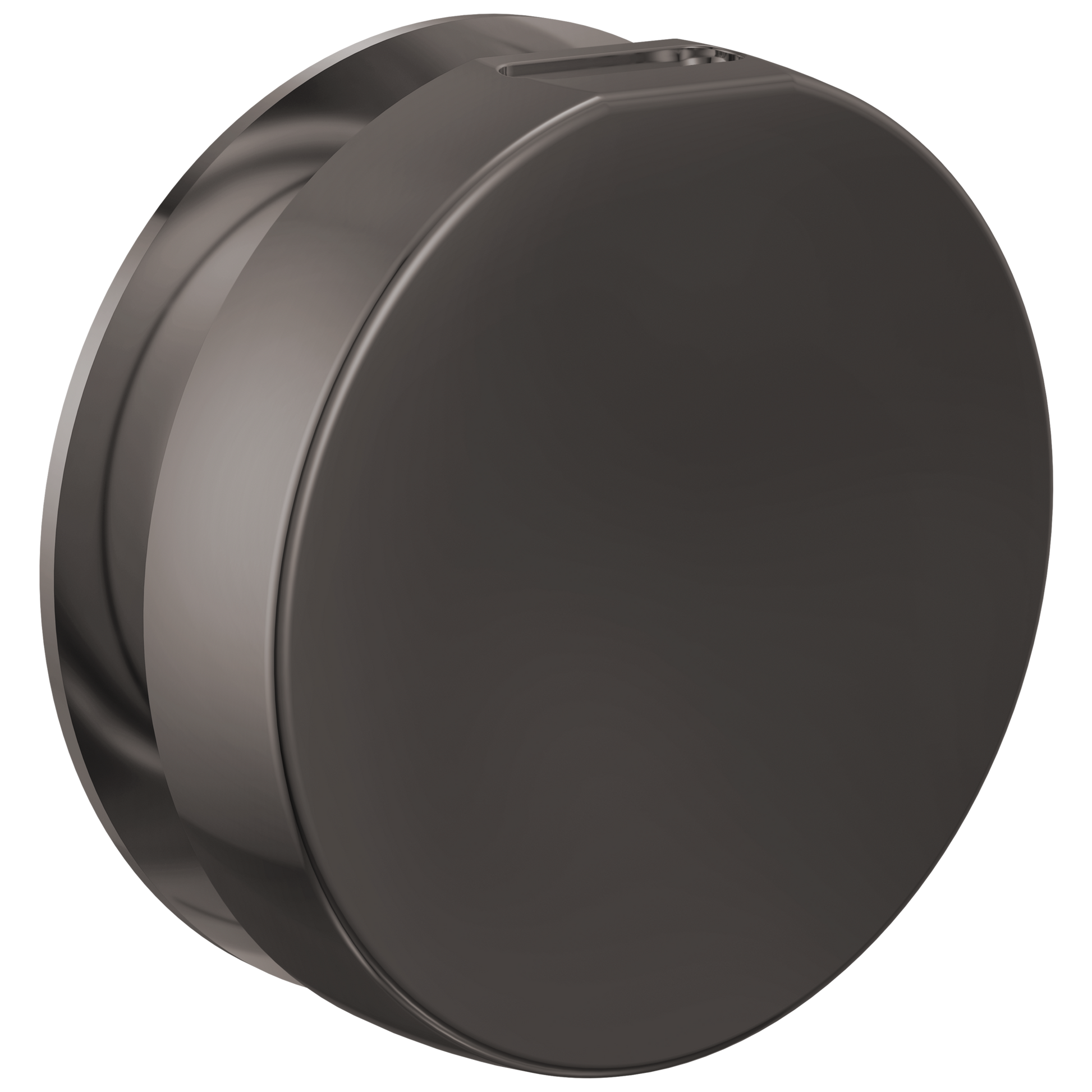 Brizo : Mystix Round Steam Head