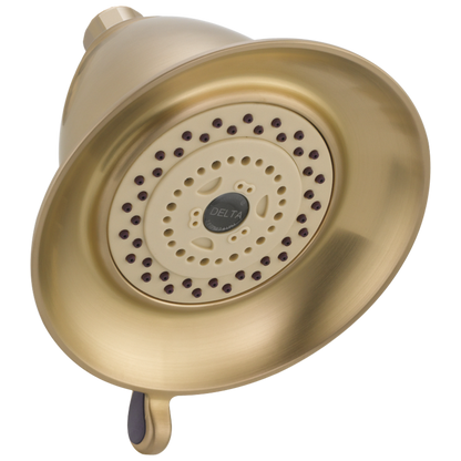 Delta RP34355 Premium 3-Setting Shower Head