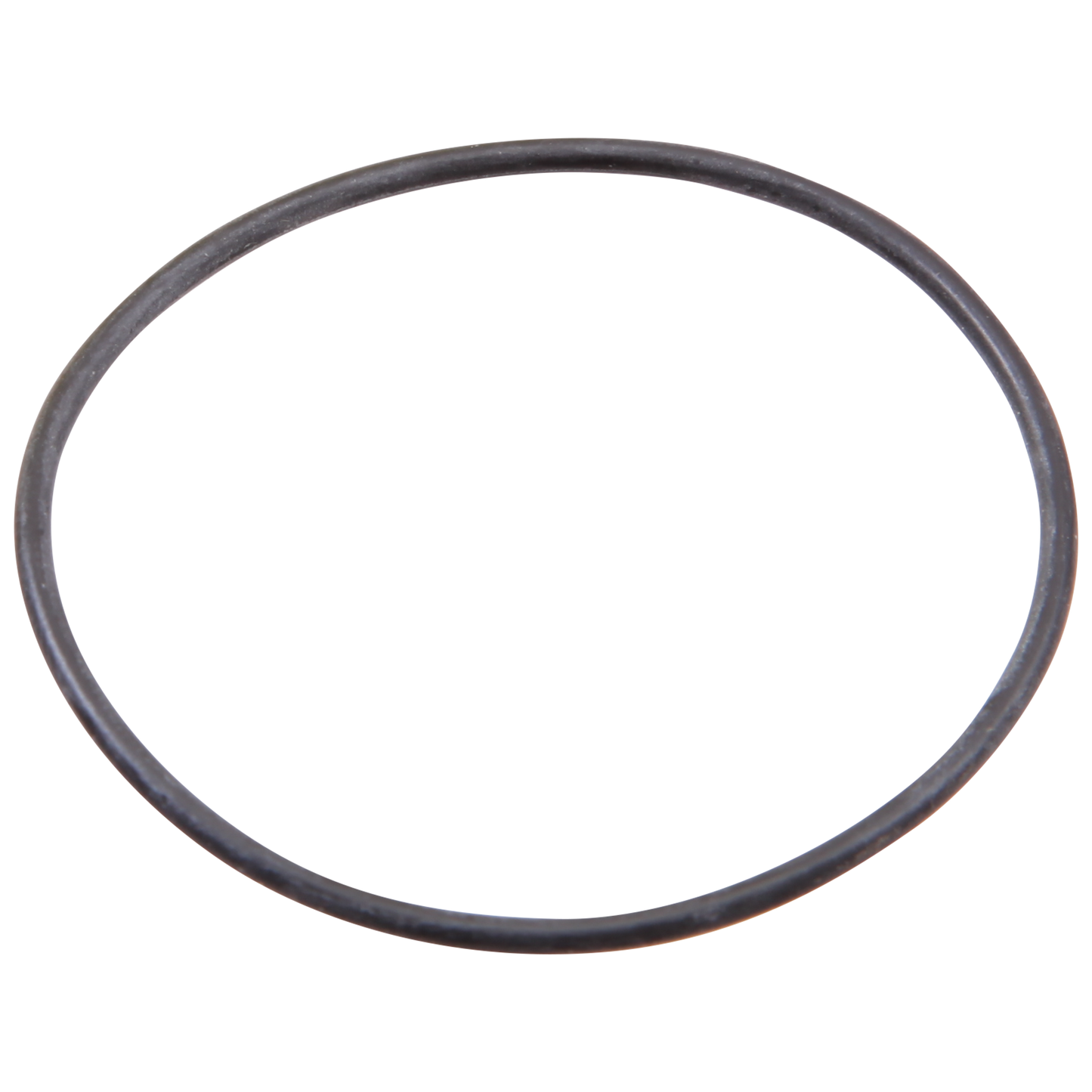Brizo Brizo Other: O-Ring for Handle