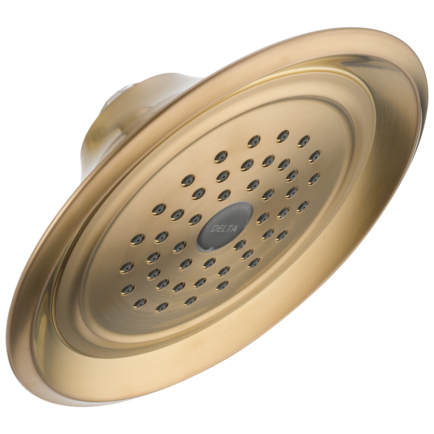 Delta RP48686 Single-Setting Raincan Shower Head
