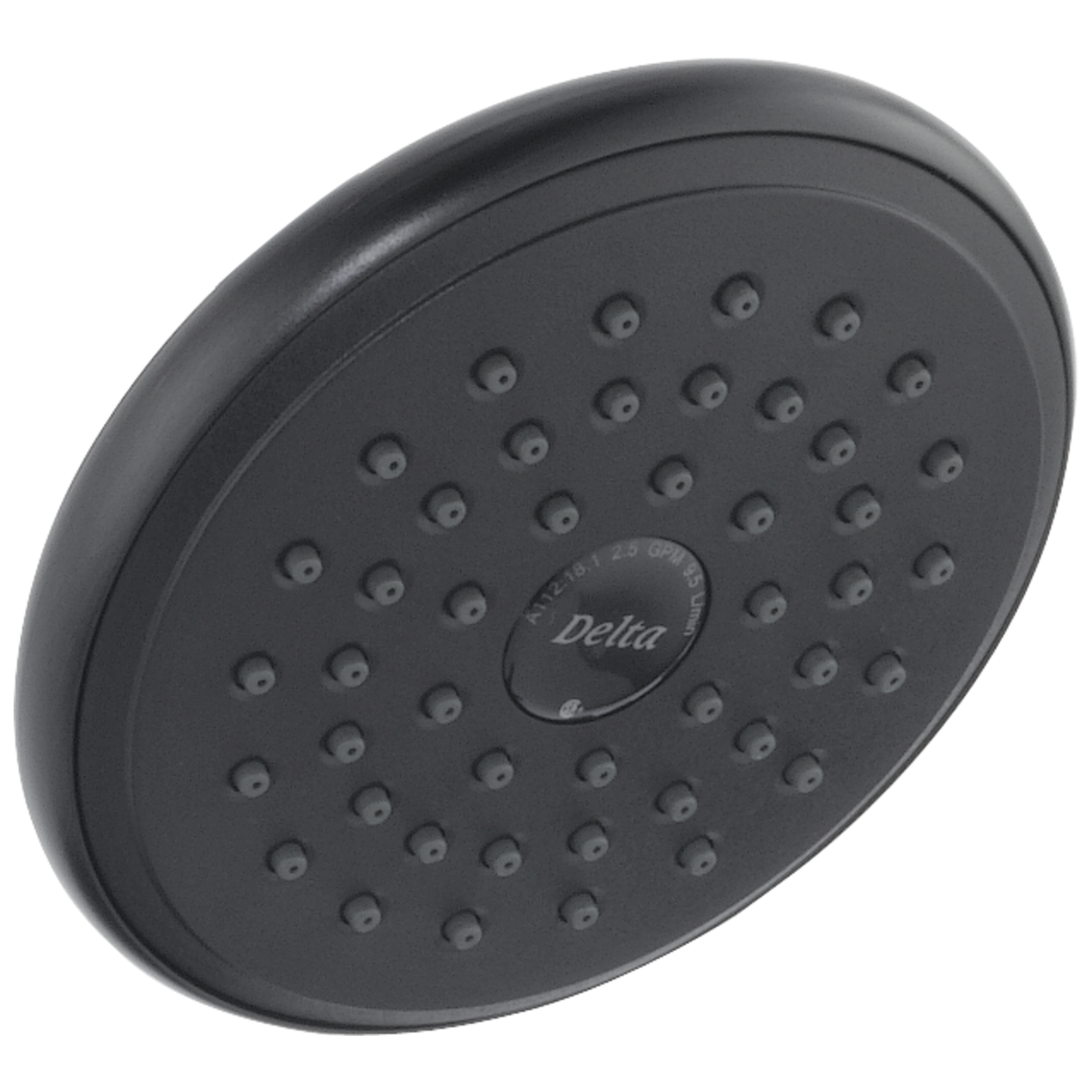 Delta RP51305 Single-Setting Raincan Shower Head