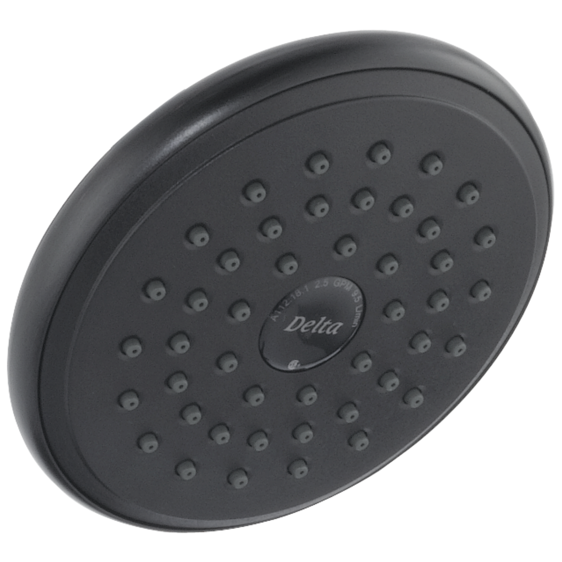 Delta RP51305 Single-Setting Raincan Shower Head