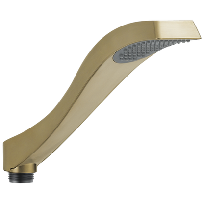 Delta RP52589 Hand Shower - Roman Tub