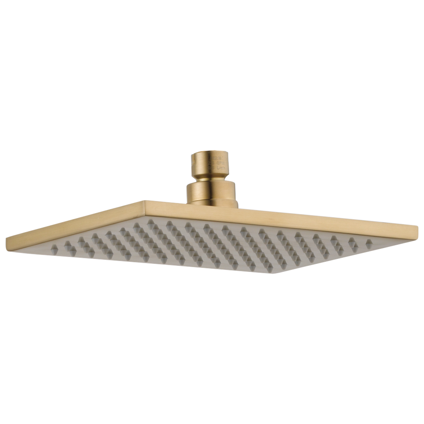 Delta RP62955 Single-Setting Raincan Shower Head