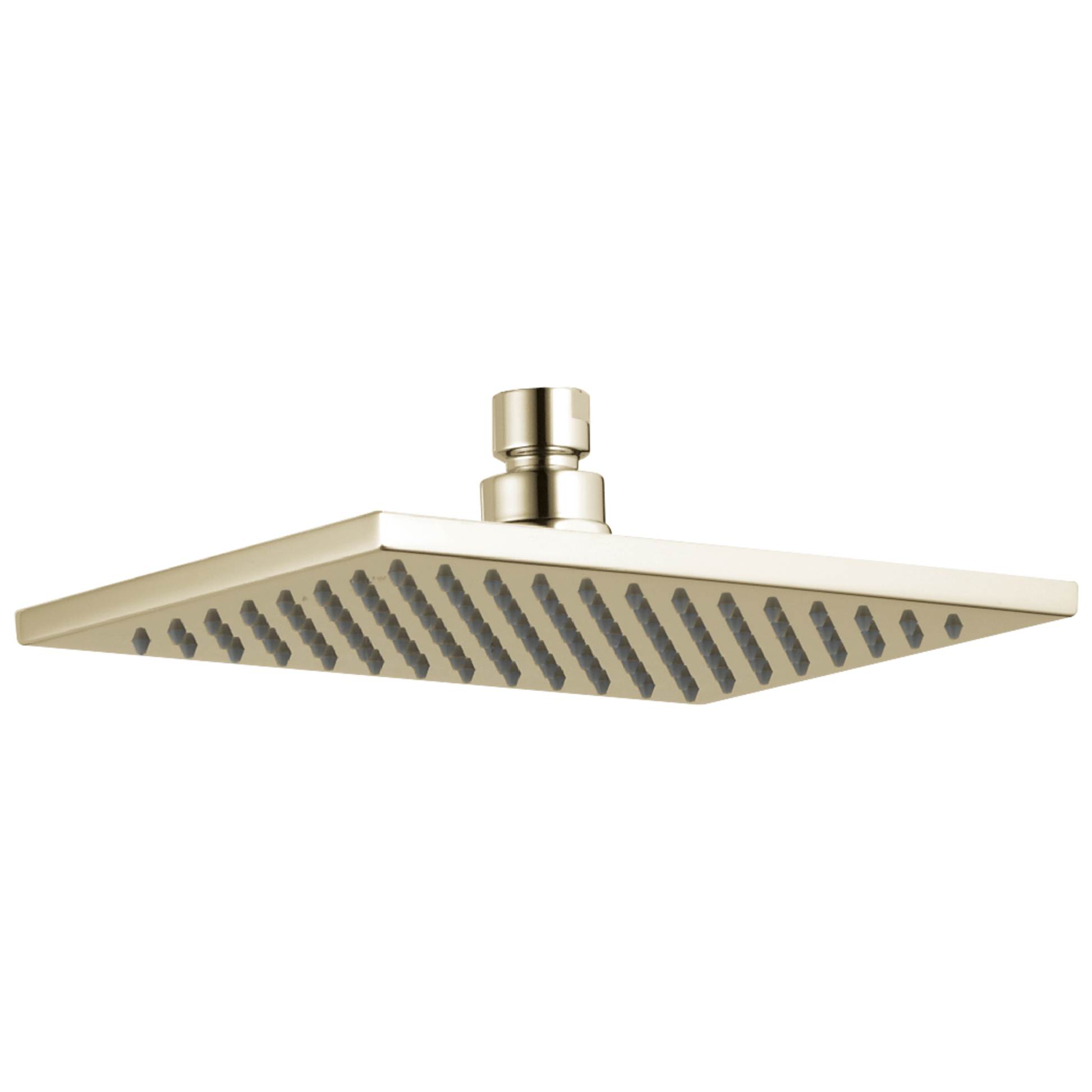 Delta RP62955 Single-Setting Raincan Shower Head