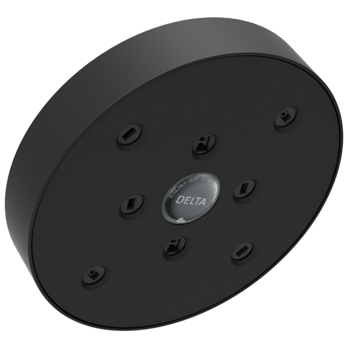 Delta RP70175-15 H2Okinetic Single-Setting Raincan Shower Head