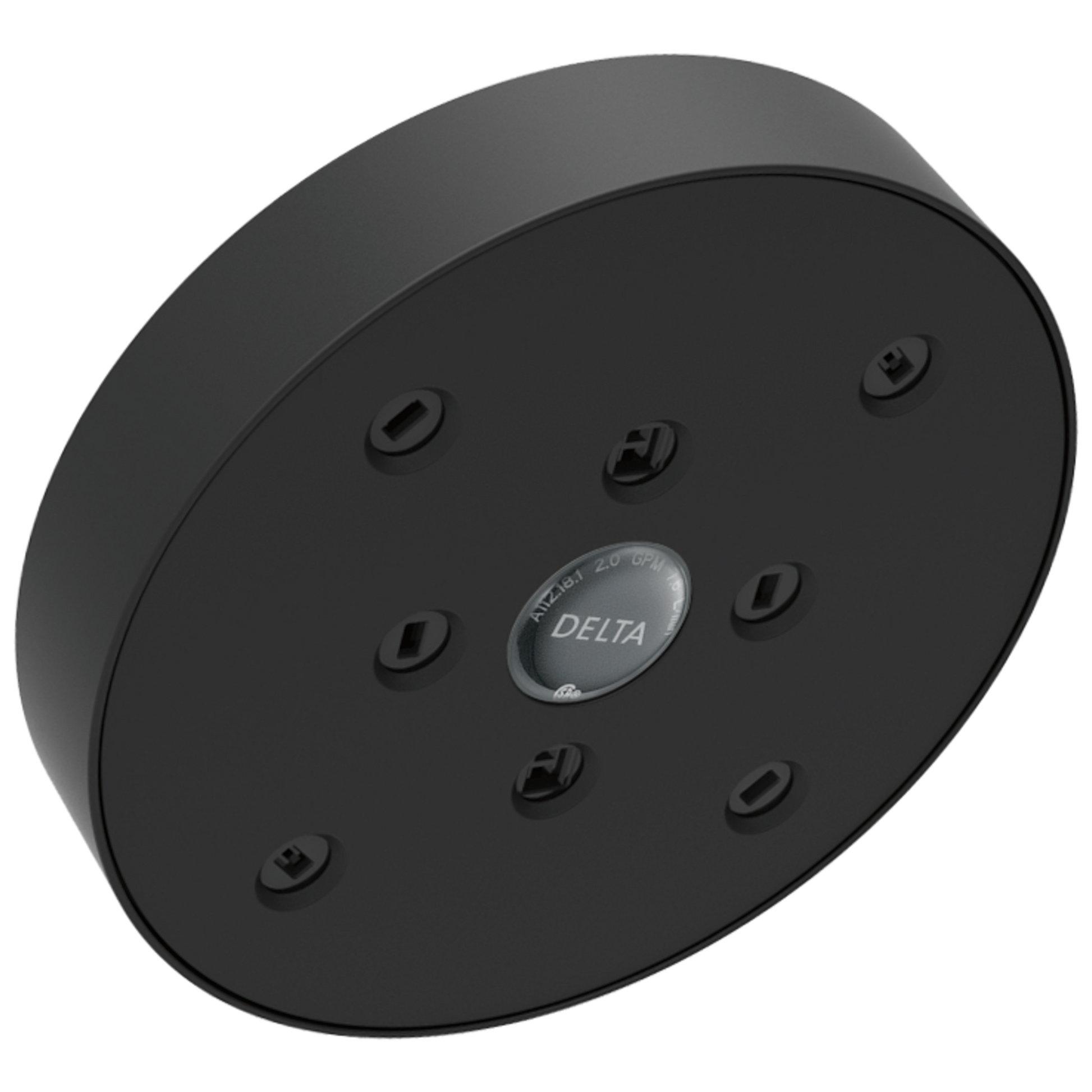 Delta RP70175 H2Okinetic Single-Setting Raincan Shower Head