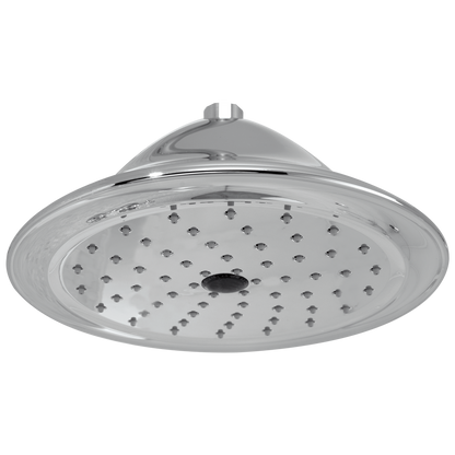 Delta RP72568 Single-Setting Raincan Shower Head
