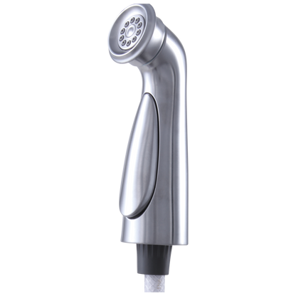 Delta RP72751 Cassidy Spray and Hose Assembly