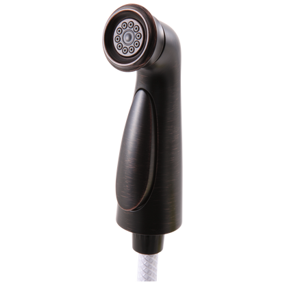 Delta RP72751 Cassidy Spray and Hose Assembly