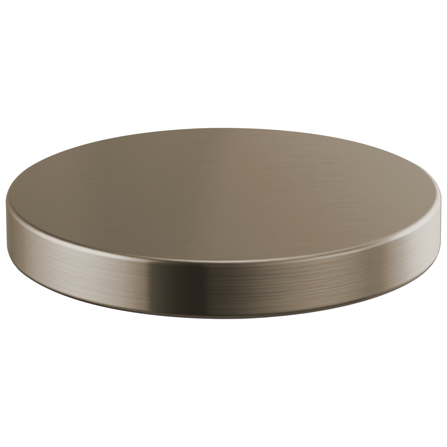 Brizo Brizo Litze: Hole Cover
