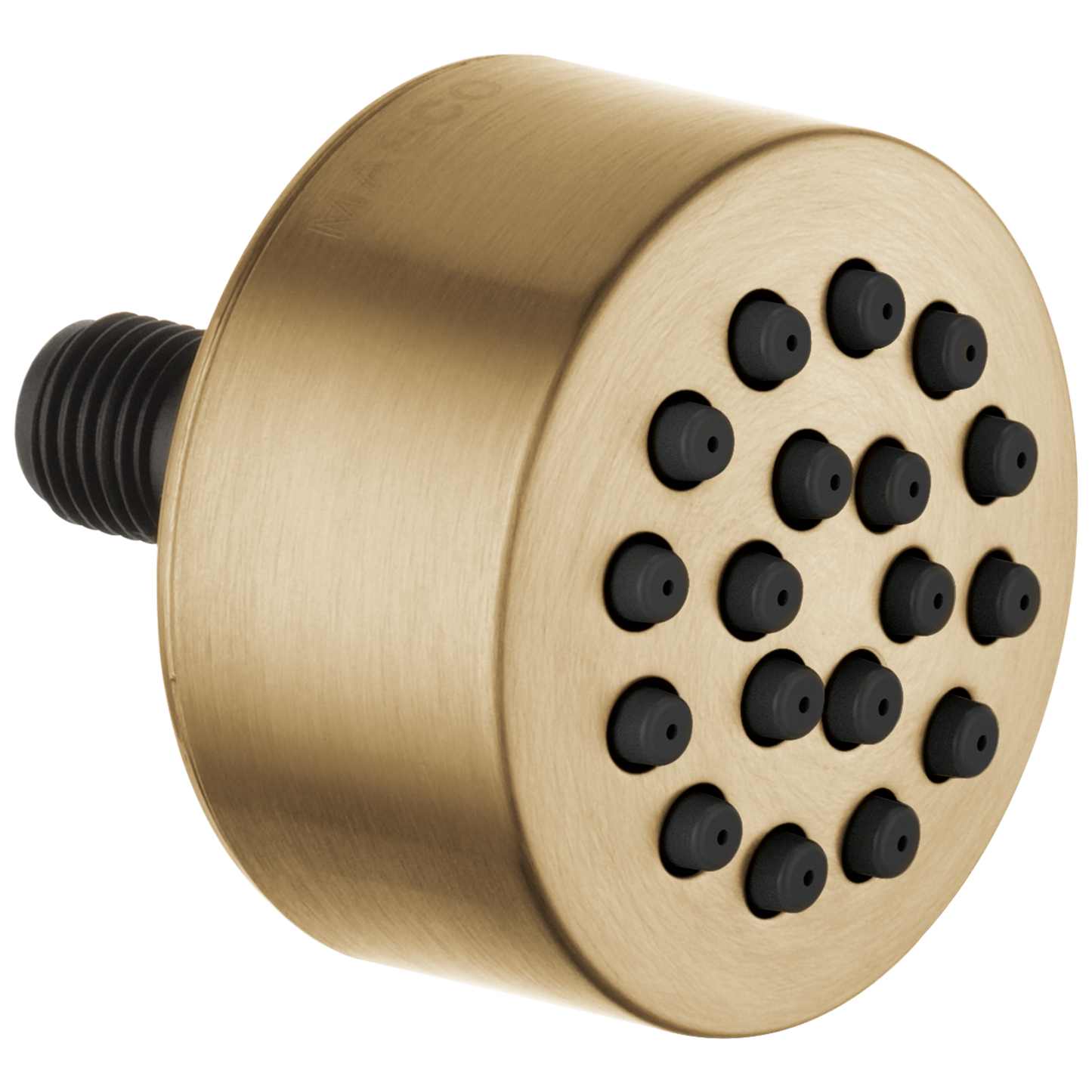 Delta : HydraChoice Body Spray - Spray Head