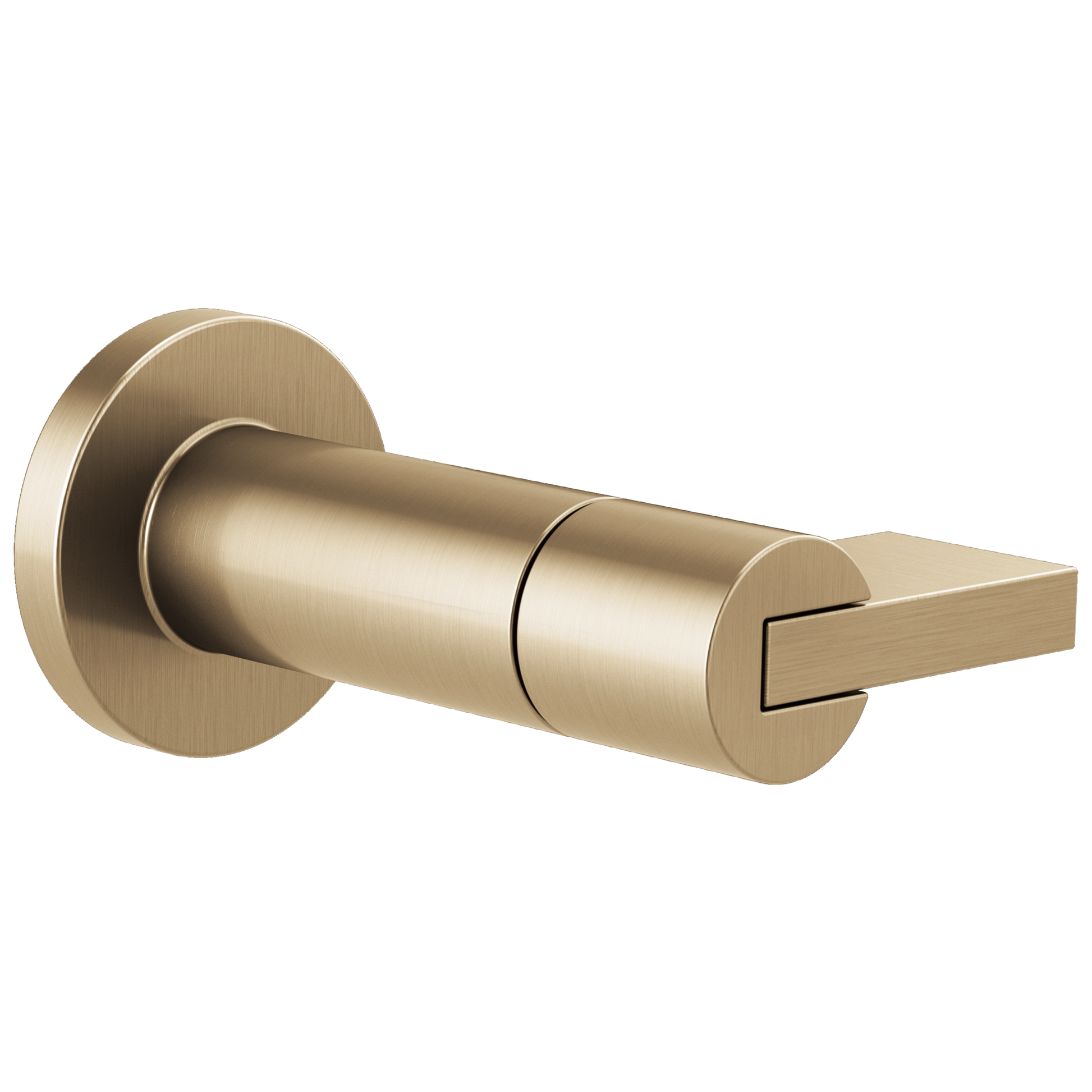 Brizo Brizo Litze: Sensori Volume Control Trim - Lever