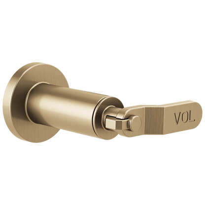 Brizo Brizo Litze: Sensori Volume Control Trim - Industrial Lever