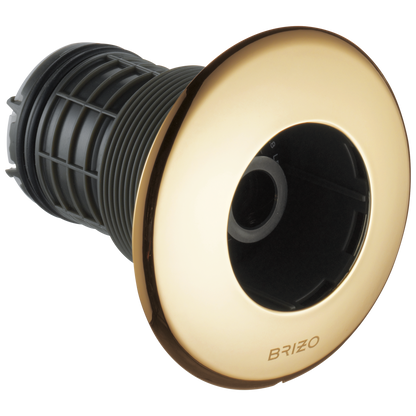 Brizo Brizo Brizo Universal Showering: Hydrachoice Max Round Body Spray Trim